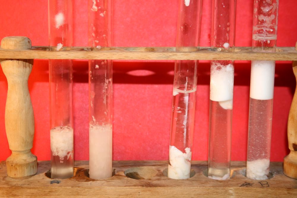 gal/LES_CINQUIEMES/ACTIVITE DIGESTION IN VITRO/Groupe_03/Groupe03_t_01h20min/Groupe03_temps01H20min_7.jpg